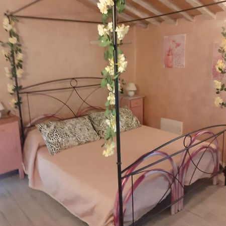 Appartamento Splendido rustico shabby, piscina a richiesta Capannori Esterno foto