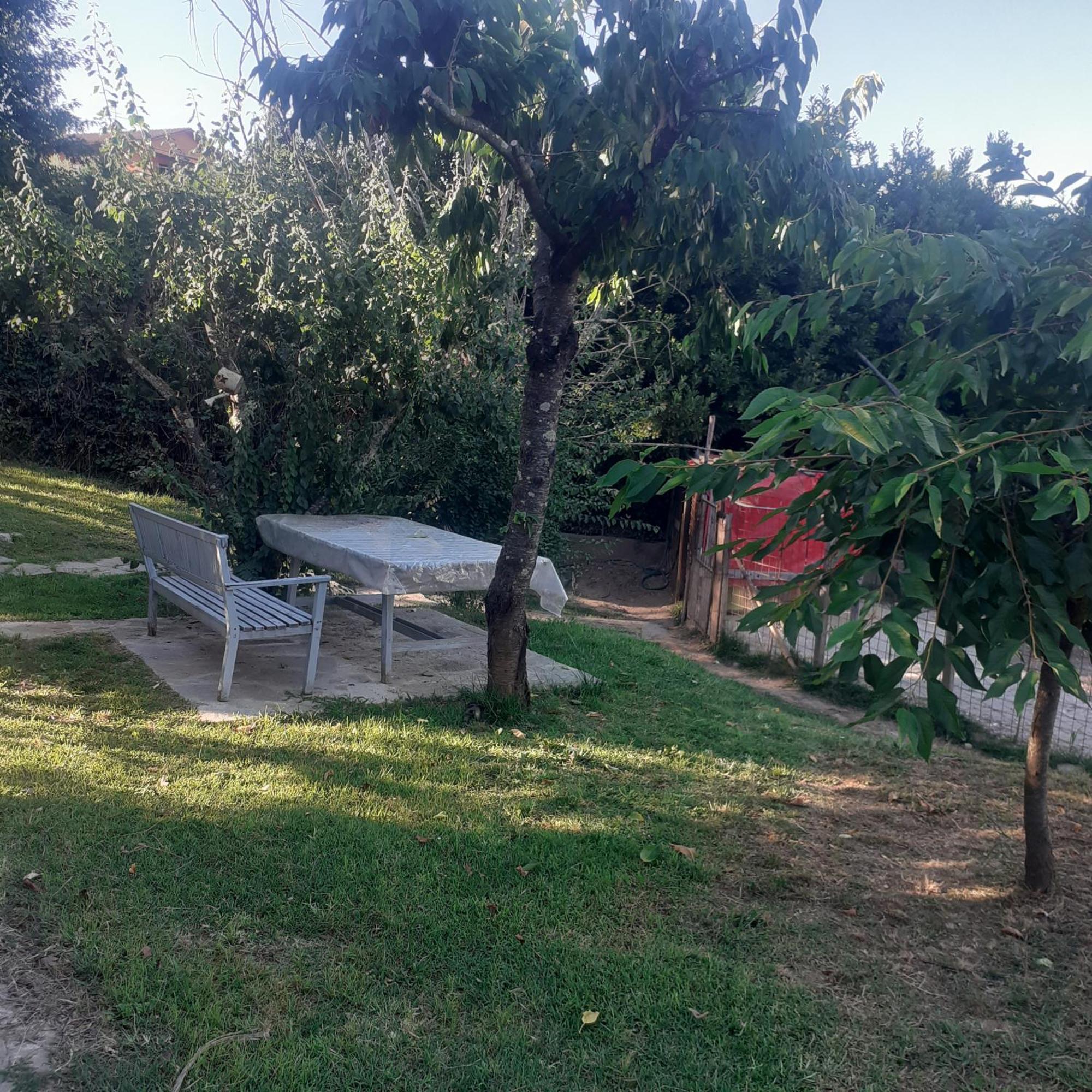 Appartamento Splendido rustico shabby, piscina a richiesta Capannori Esterno foto